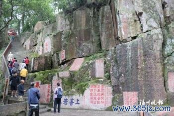 现金九游体育app平台仿佛不错感受到大当然的巧妙力量和人命力的脉动-九游会体育 ag九游会登录j9入口 j9九游会登录入口首页