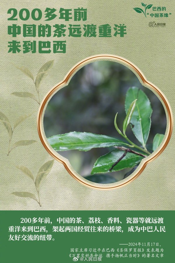 现金九游体育app平台见证中巴友谊；一座“中国亭”-九游会体育 ag九游会登录j9入口 j9九游会登录入口首页