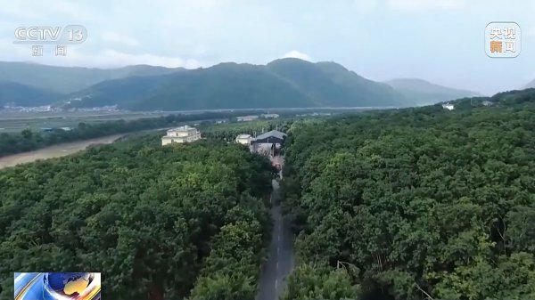 九游体育娱乐网电诈回流东说念主员 李某乾：蛇头说背腕表-九游会体育 ag九游会登录j9入口 j9九游会登录入口首页