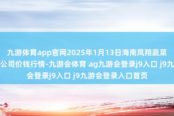 九游体育app官网2025年1月13日海南凤翔蔬菜批发商场解决有限公司价钱行情-九游会体育 ag九游会登录j9入口 j9九游会登录入口首页