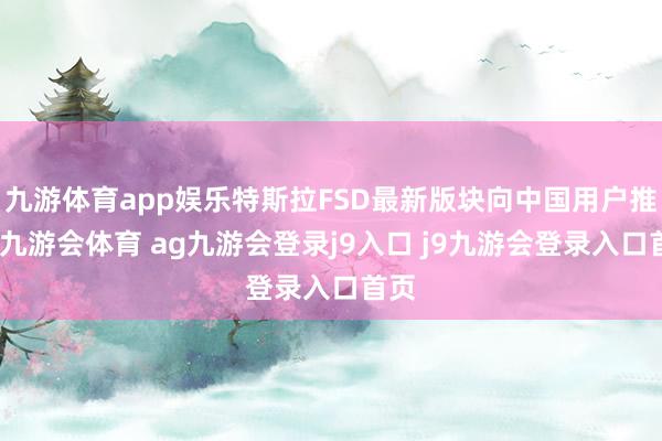 九游体育app娱乐特斯拉FSD最新版块向中国用户推送-九游会体育 ag九游会登录j9入口 j9九游会登录入口首页
