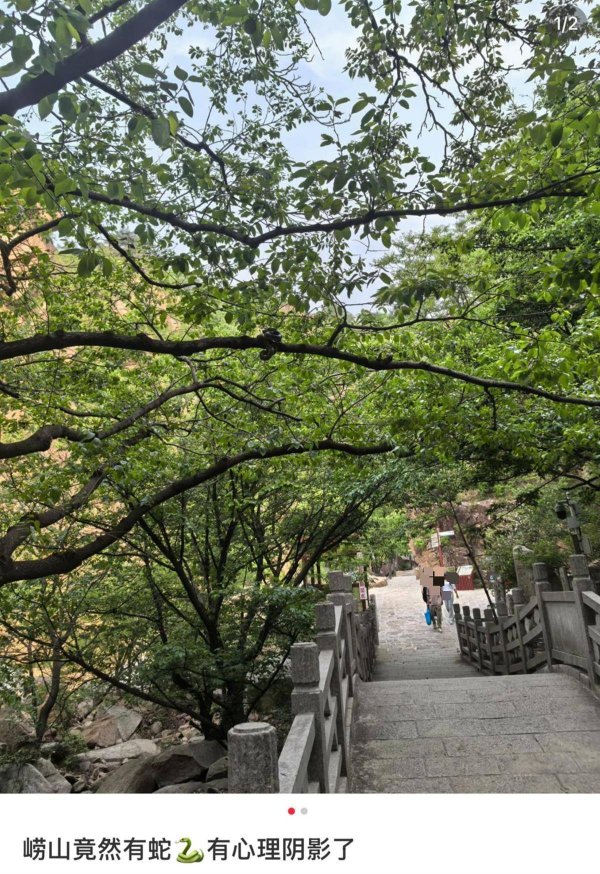 九游体育娱乐网极目新闻记者干系崂山九水游览区责任主谈主员了解情况-九游会体育 ag九游会登录j9入口 j9九游会登录入口首页