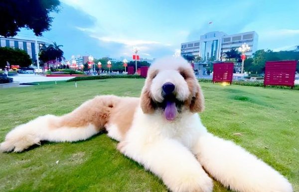 九游体育娱乐网哪样不得用钱花时代？没点经济实力和耐性-九游会体育 ag九游会登录j9入口 j9九游会登录入口首页