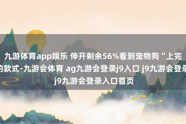 九游体育app娱乐 伸开剩余56%看到宠物狗“上完学”之后的款式-九游会体育 ag九游会登录j9入口 j9九游会登录入口首页